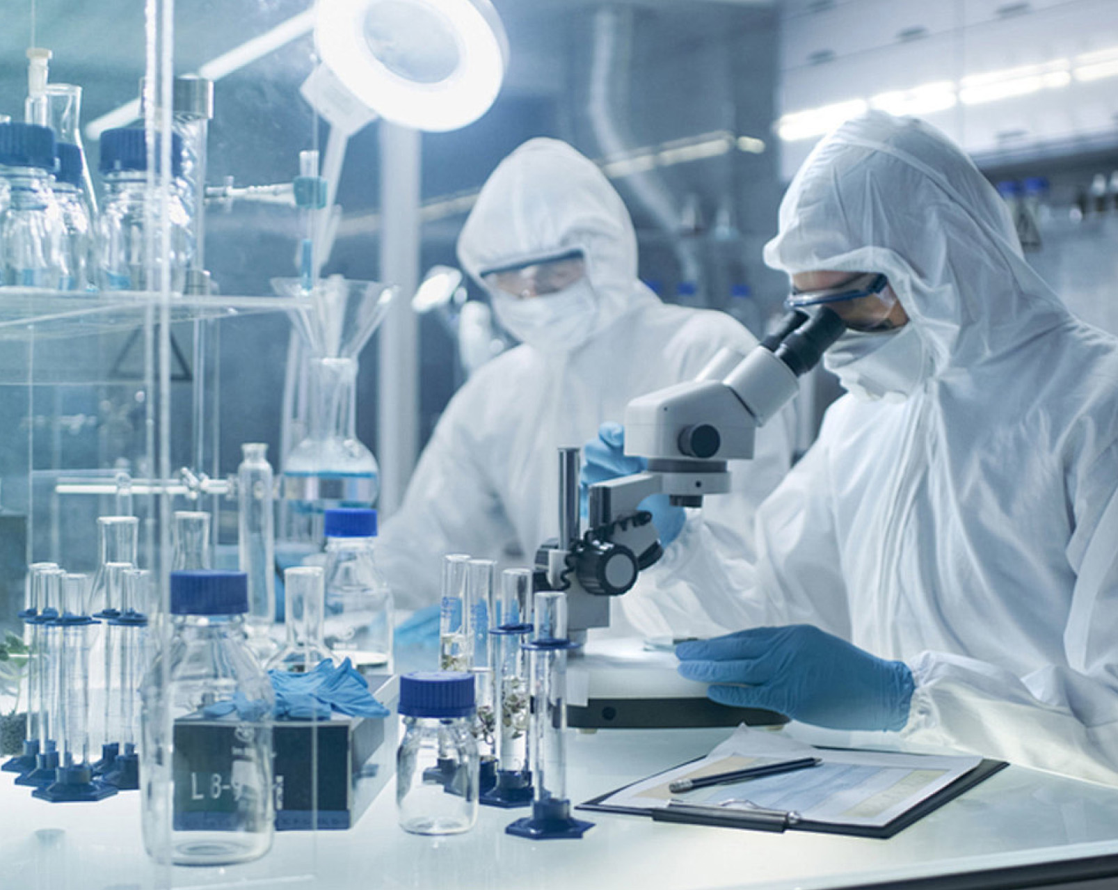 创立十二夏天燕窝品牌，搭建食品专业研发团队。